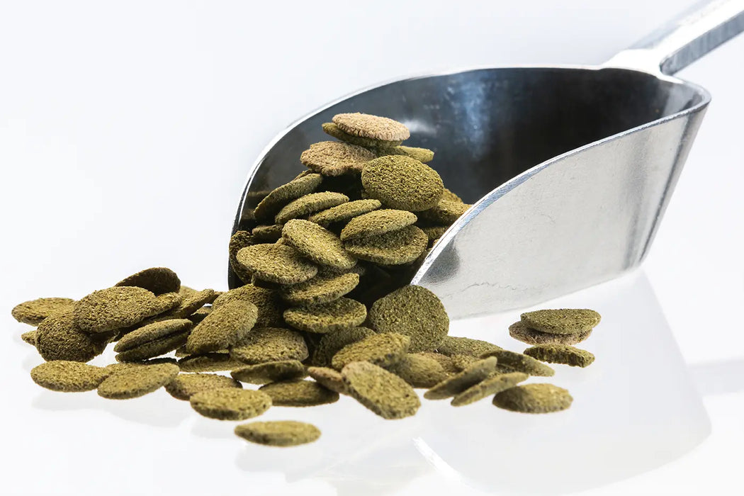 Algae Wafers Spirulina 12mm