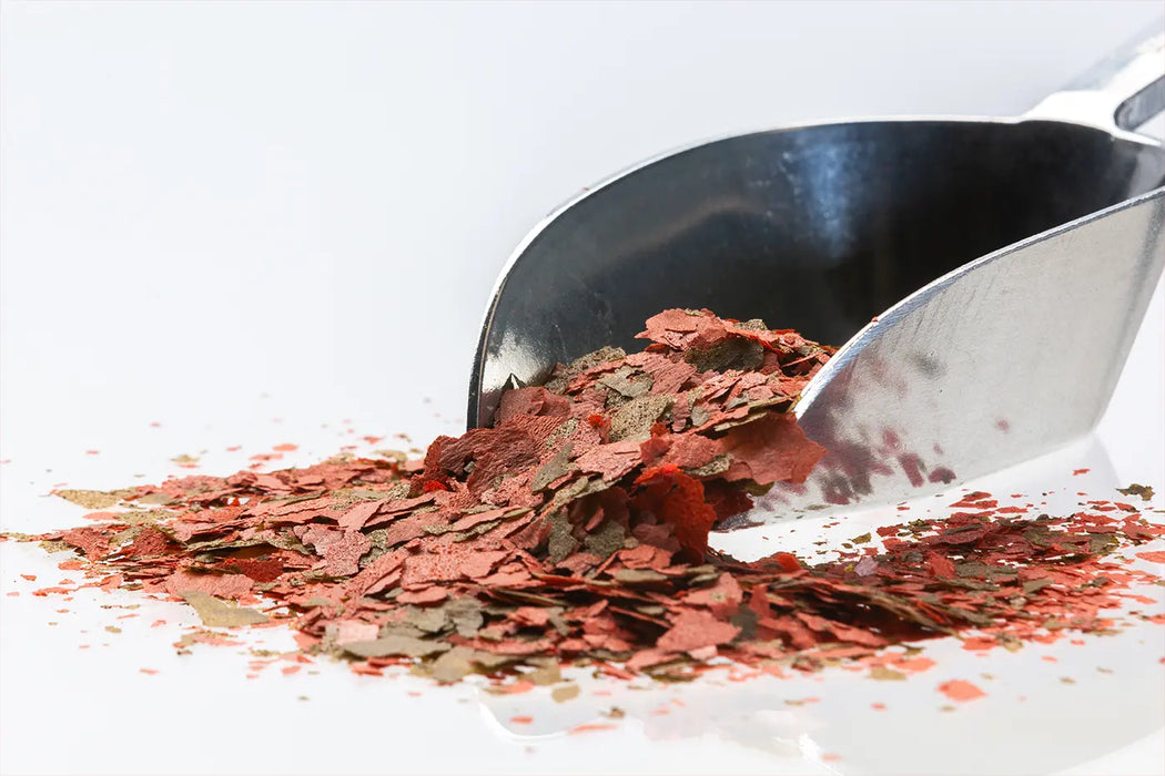 Cichlid Flakes