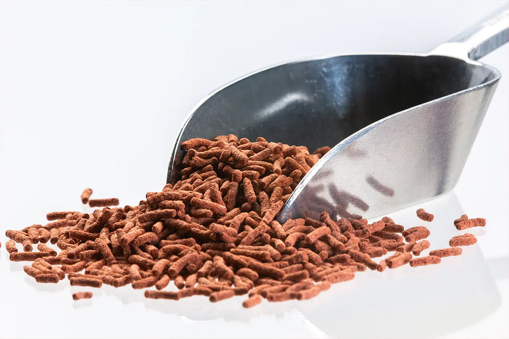 Cichlid Sticks Colour