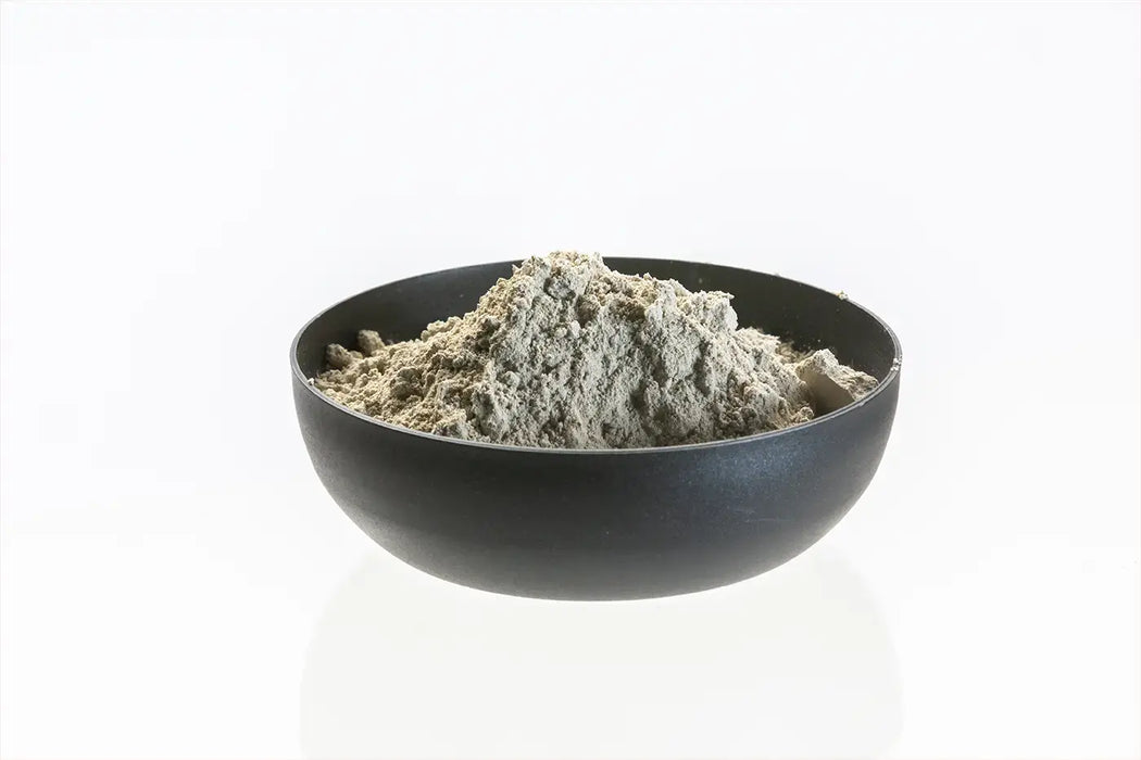 Filter Starter - Bacteria Powder