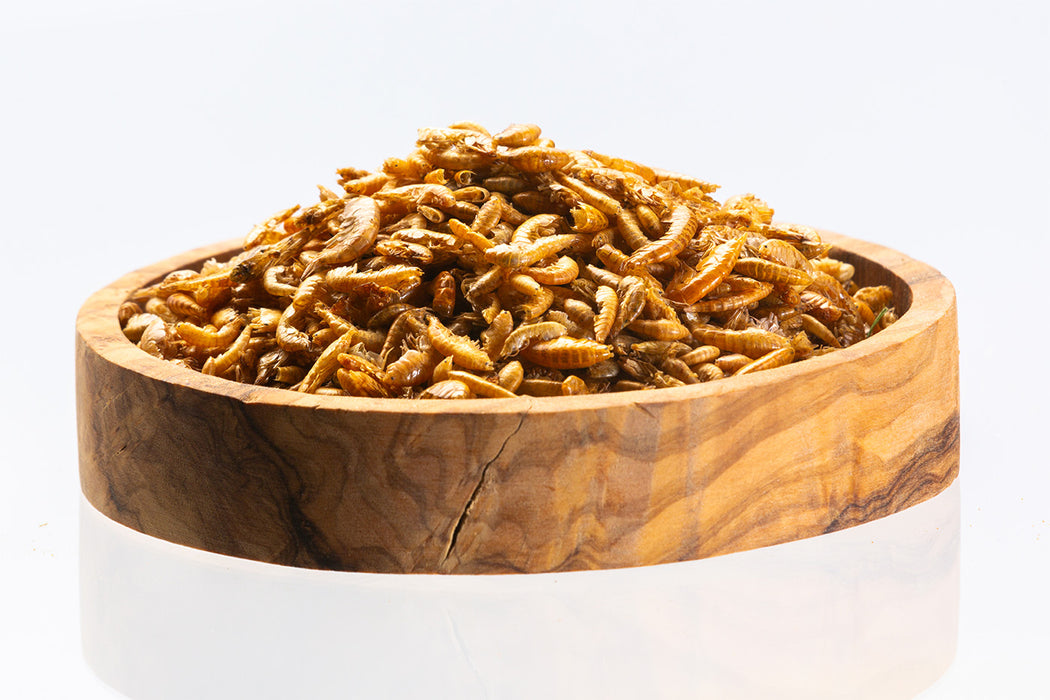 Gammarus - bulk / kg