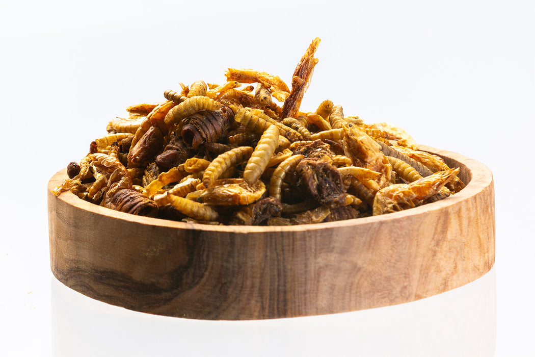 Koi Treats Mix - bulk / kg