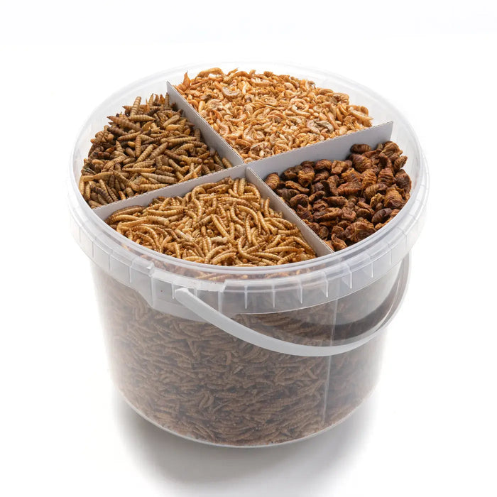 Koi Treats 4 compartments