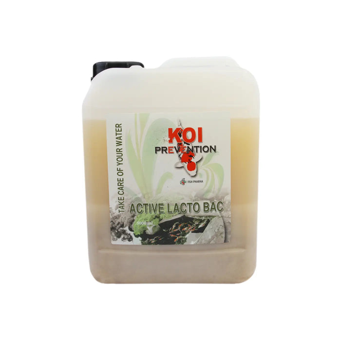 Koi Prevention Active Lacto Bac