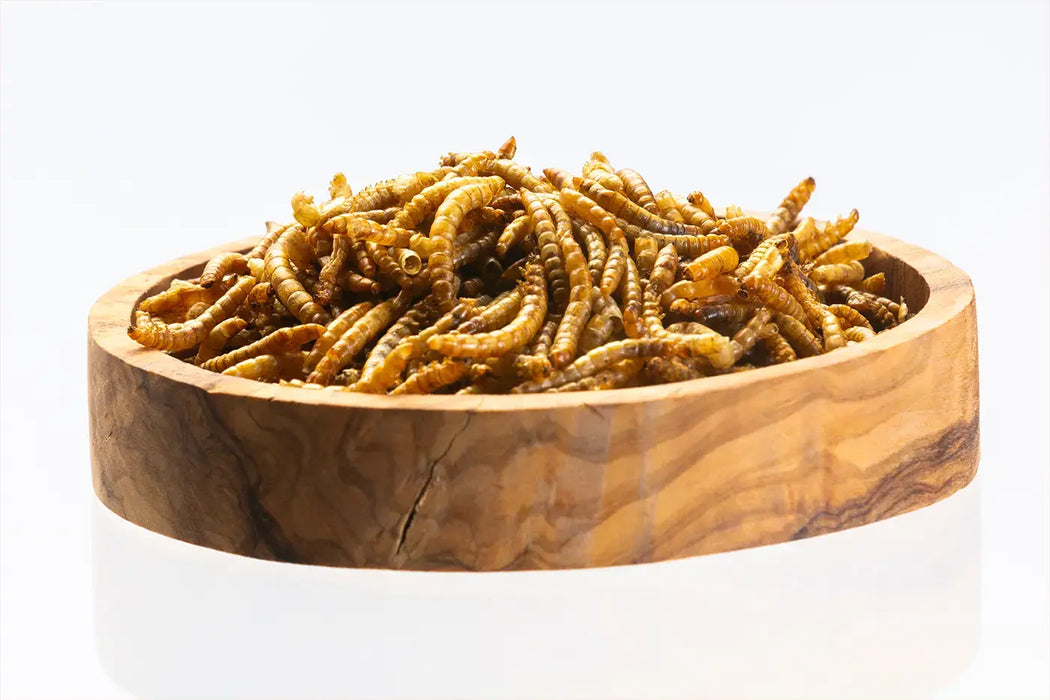 Mealworms
