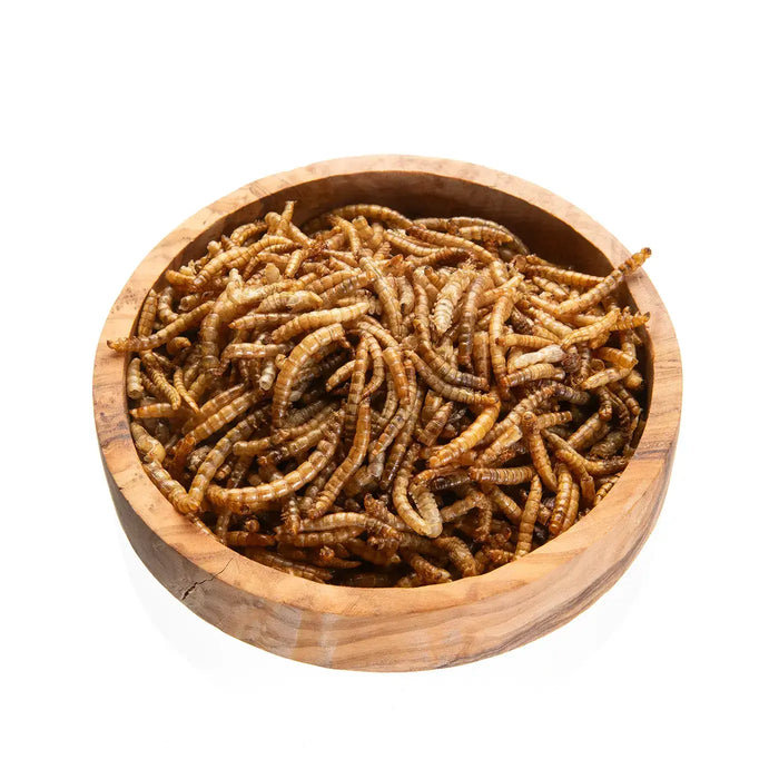 Mealworms