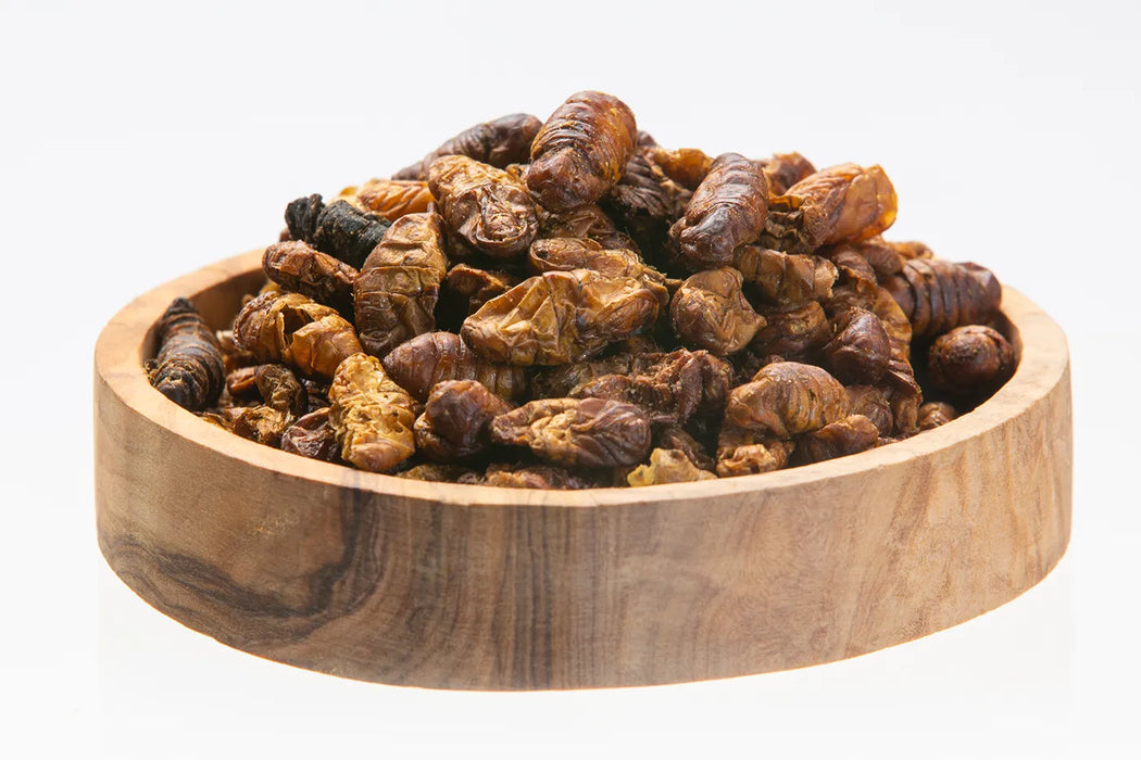 Silkworms Premium - 10 kg