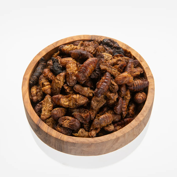 Silkworms Premium - 10 kg