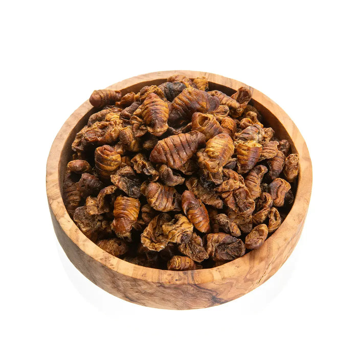 Silkworms
