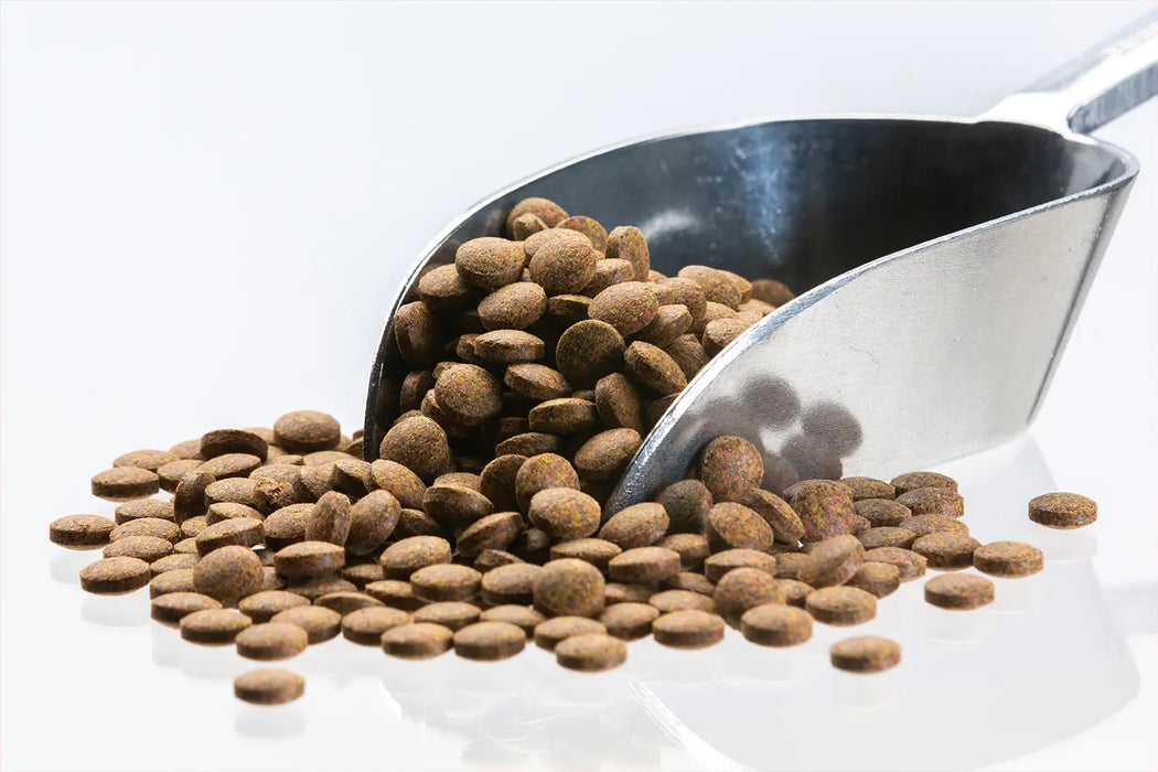 Bottom Tablets Brown