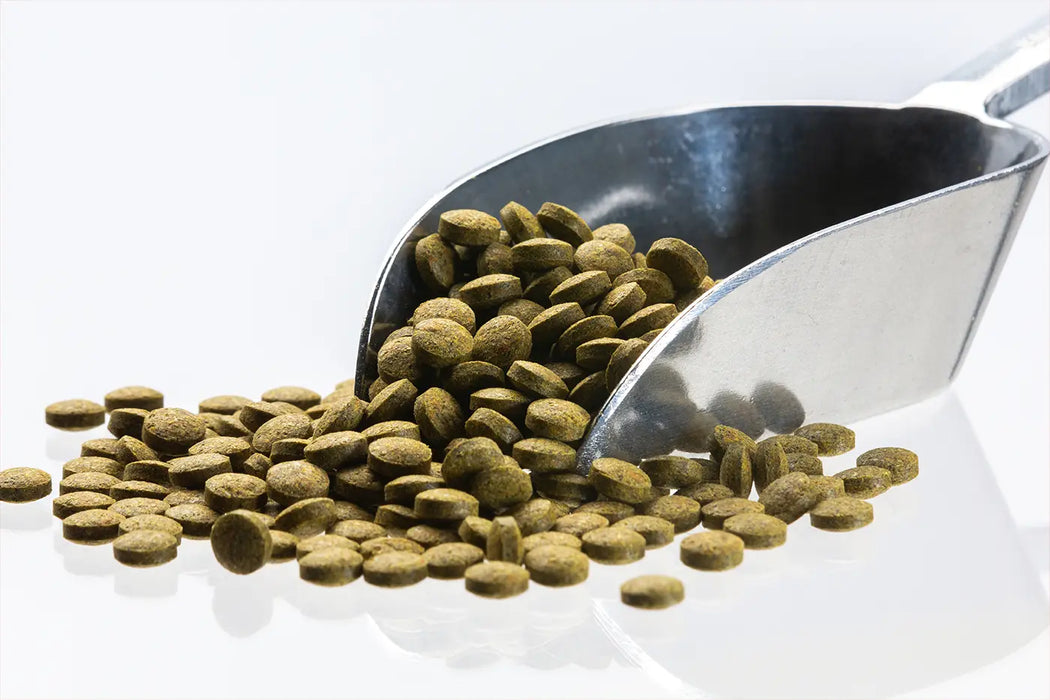 Bottom Tablets Green