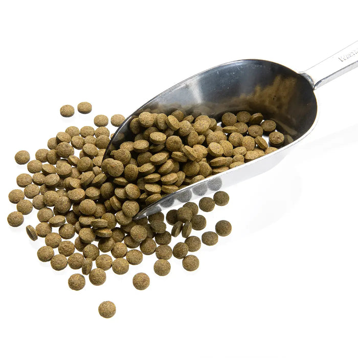 Bottom Tablets Green