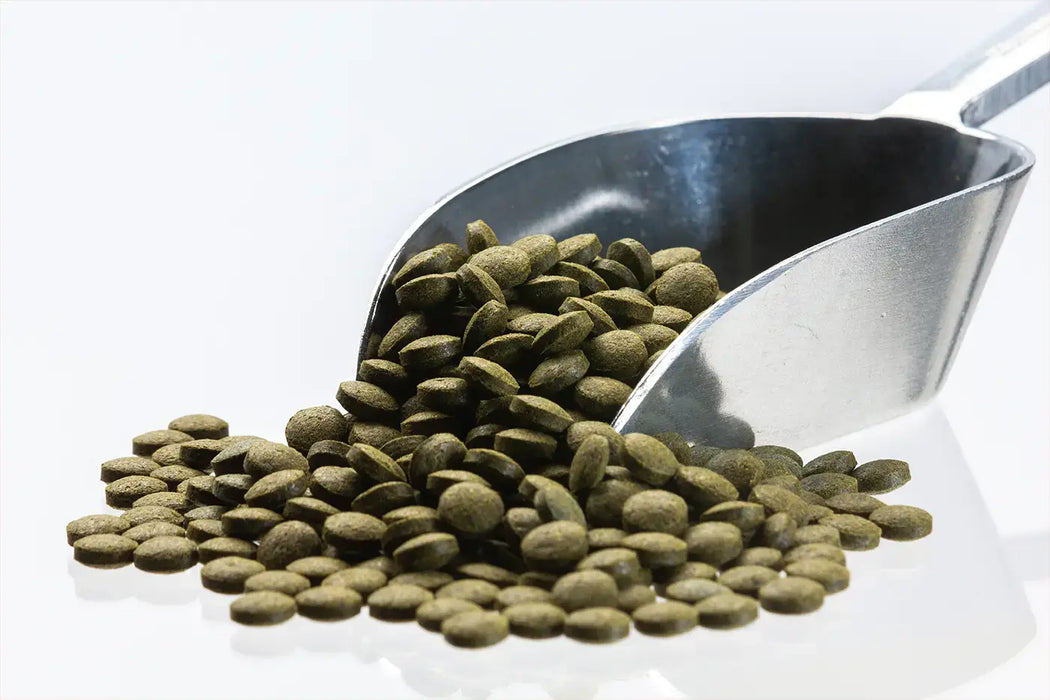 Bottom Tablets Spirulina 6%