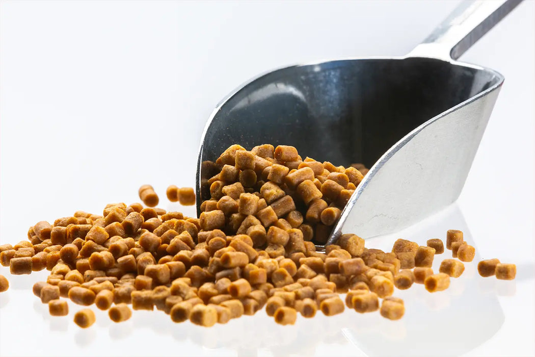 Cichlid Pellets