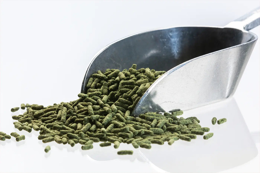 Cichlid Sticks Spirulina