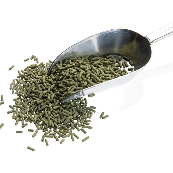 Cichlid Sticks Spirulina
