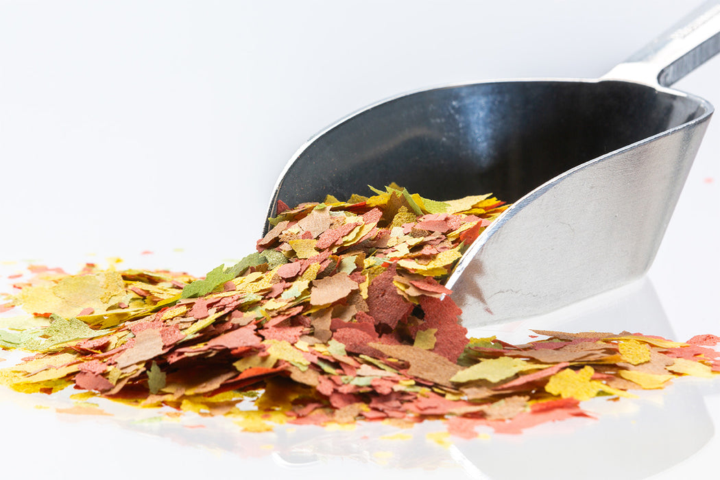 Goldfish Flakes