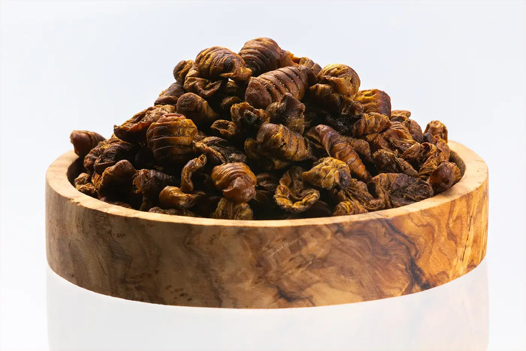 Silkworms
