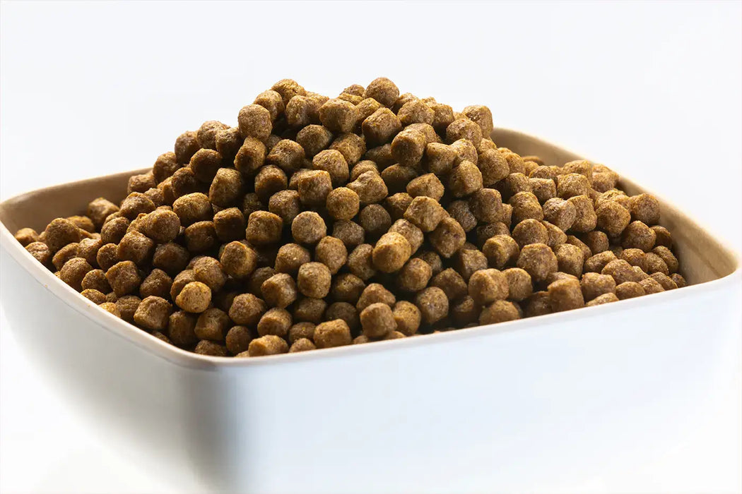 Wheat Germ